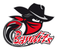 Rhein Neckar-Bandits Logo