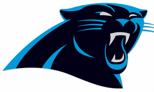 Panthers: Newton wirft Trainingspässe