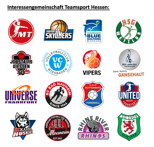 Die Vereine der Interessengemeinschaft Teamsport Hessen