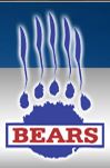 Berlin Bears Logo