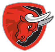 Salzburg Bulls Logo