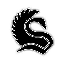 Hamburg Black Swans Logo