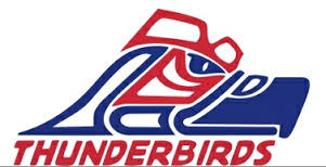 Duisburg Thunderbirds Logo