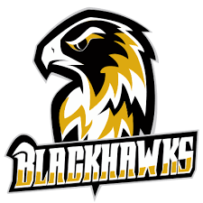 Münster Black Hawks Logo