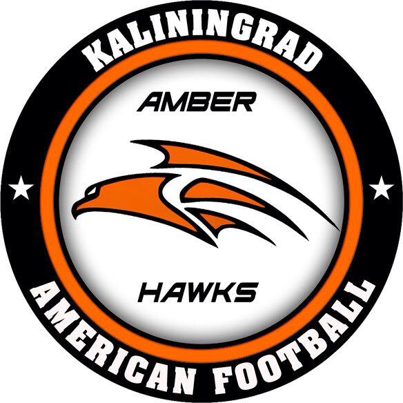 Kaliningrad Amb. Hawks Logo