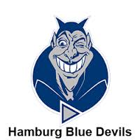 Hamburg Blue Devilyns Logo