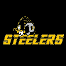 Sandwell Steelers Logo