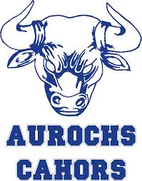 Aurochs de Cahors