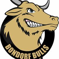 Bondorf Bulls Logo