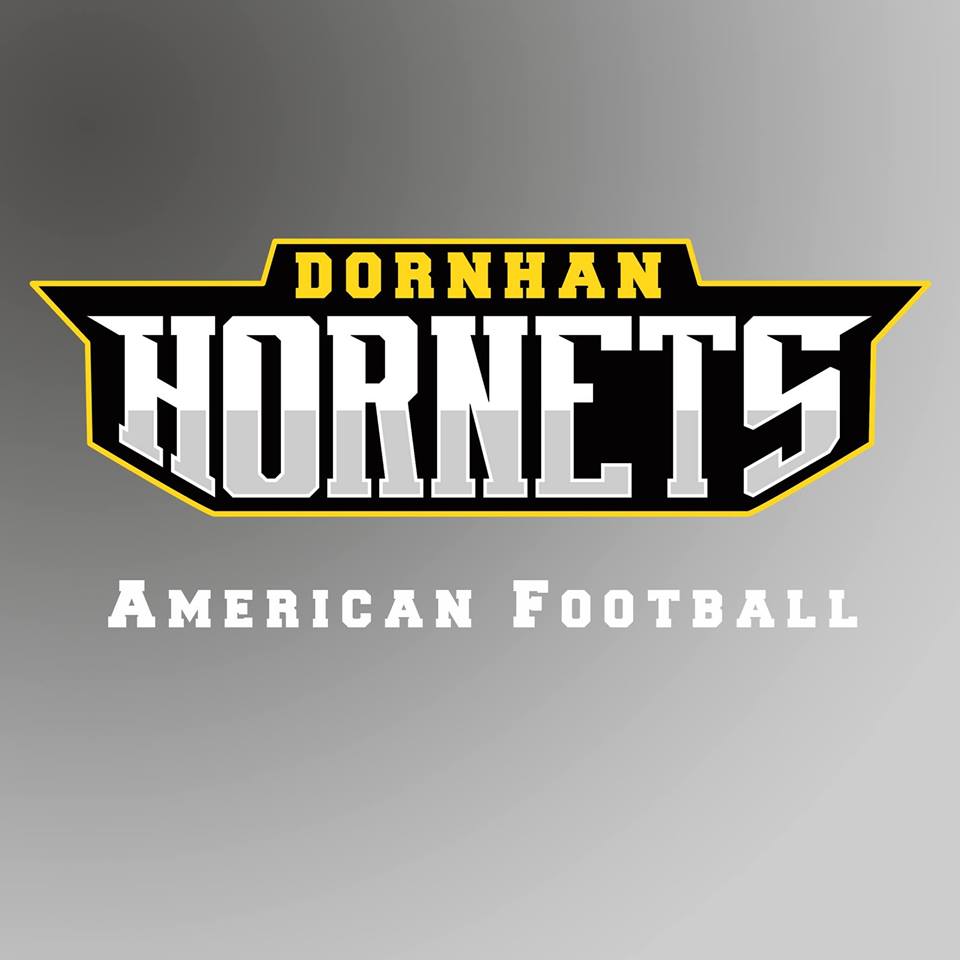 Dornhan Hornets Logo