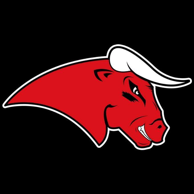 Coesfeld Bulls Logo